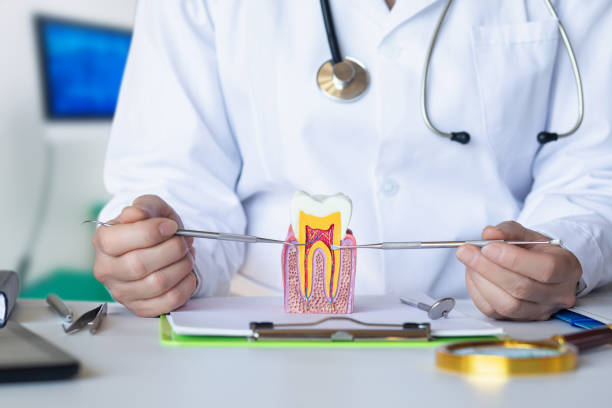 Best Emergency Dental Care for Broken or Chipped Teeth in Jermyn, PA